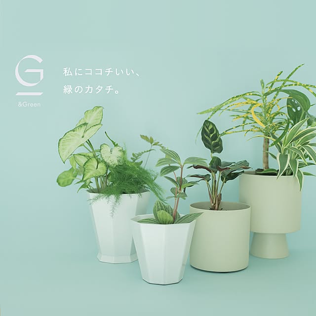【無料モニター】土を使わないからお世話が簡単！観葉植物「&Green」のモニターを大募集♪