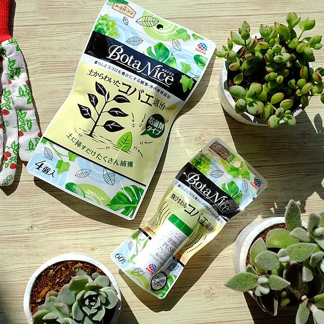 【無料モニター】観葉植物まわりの虫対策に！“コバエ退治” 2点セットのモニター大募集！