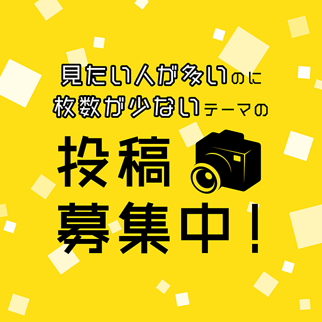 お助け！おうち撮影クエスト みんなが検索しているモノ編