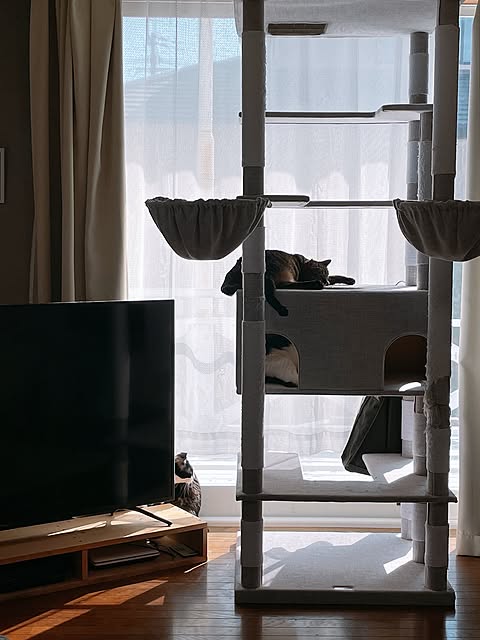 「安心設計＆ファブリック素材の、暮らしに馴染むキャットタワー」 by mahi1101さん