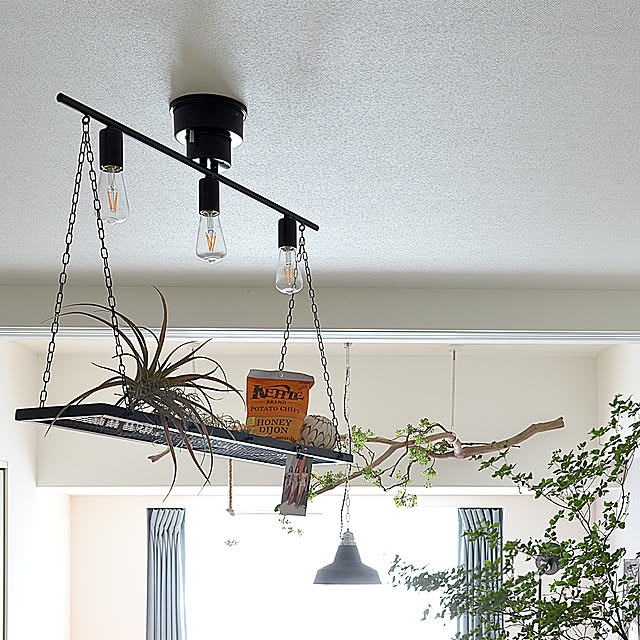 【無料サンプリング】新感覚のシーリングライトを素敵にディスプレイしてくれるユーザーさん大募集！