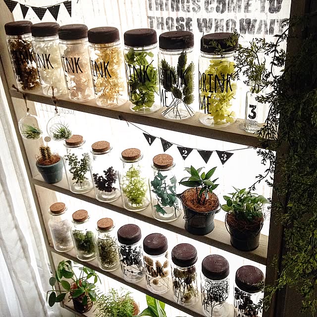 100均アイテムを使ってグリーンを飾っちゃおう♪