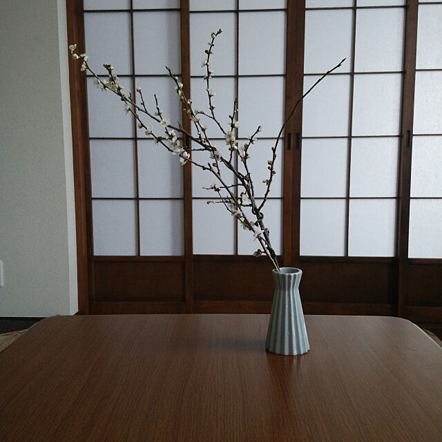 My Desk,梅,Daiso,フラワーベース,いいね！ありがとうございます♪,お花のある暮らし,和室 Mikaの部屋