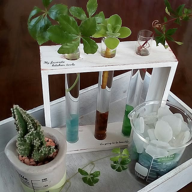 My Desk,NO GREEN NO LIFE,植物,多肉植物,サボテン,シーグラス,試験管立て,試験管,ビーカー,セリア,転写シール,いつもいいね！ありがとうございます♪ mariagardenの部屋