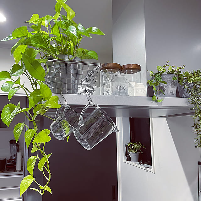 Kitchen,LAKOLE,ラコレハウス ivyの部屋