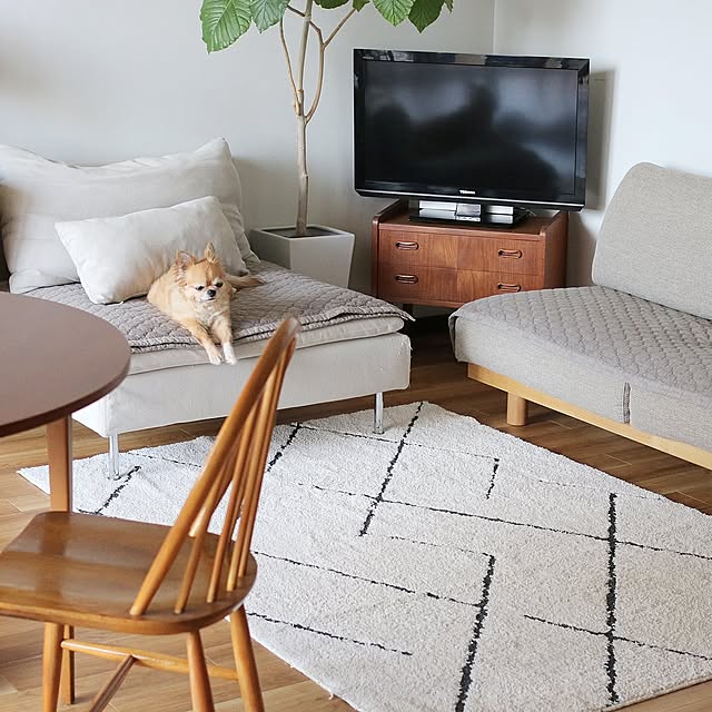 無印良品 ソファ,犬と暮らす,IKEA,ソーデルハムン,Lounge ayucoの部屋