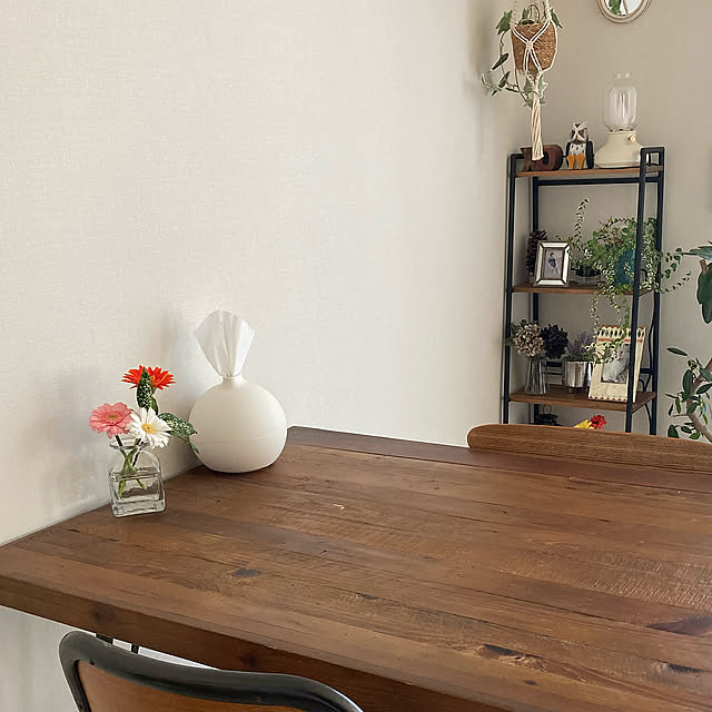 ティッシュケース,ディノス,買ってよかったもの,ナチュラルインテリア,観葉植物のある部屋,花のある暮らし,My Desk Rio333の部屋