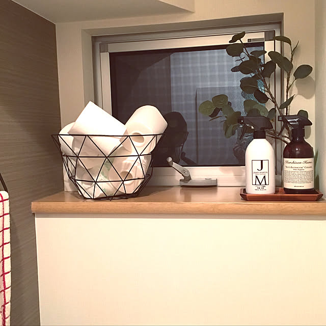 Bathroom,タイガーコペンハーゲン,マーチソンヒューム,フェイクグリーン,IKEA furikurirennziの部屋