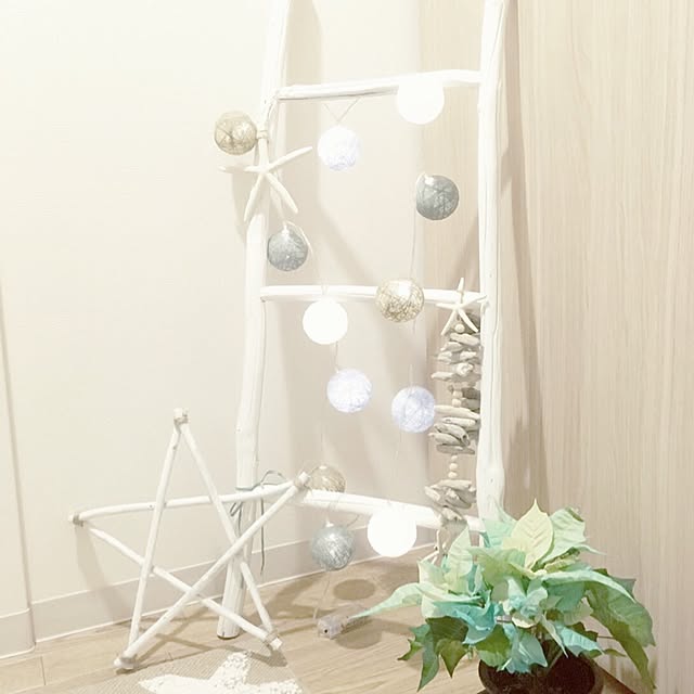 コースタル,マリンスタイル,観葉植物,Entrance cameの部屋