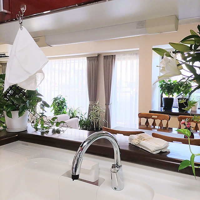 Kitchen,買ってよかったもの,マンション暮らし,花のある暮らし,くつろぎ空間,キッチンからの眺め,窓辺のグリーン,観葉植物のある暮らし,ポインセチア,出窓,ポトス,百合の花,東京インテリアのカーテン,無印良品,落ち綿ふきん,コスパ最高,12枚組,グリーン,タオル代わりに,人造大理石ワークトップ,タッチレス水栓ナビッシュ,落ちワタ混ふきん love1017の部屋