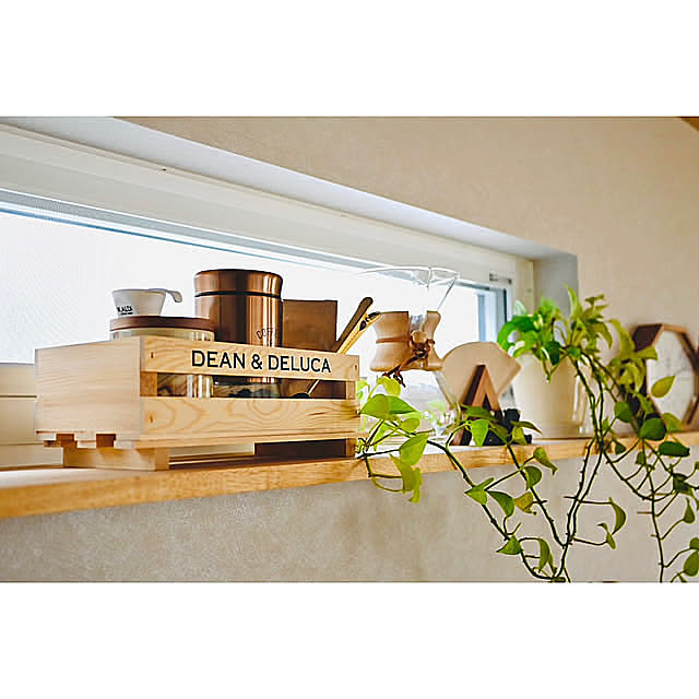 My Shelf,ケメックス,コーヒーメーカー,DEAN＆DELUCA,観葉植物のある暮らし,観葉植物,コーヒーのある暮らし,ディスプレイ,造作棚,夫婦2人暮らし,Nikonzfc y.tora5の部屋