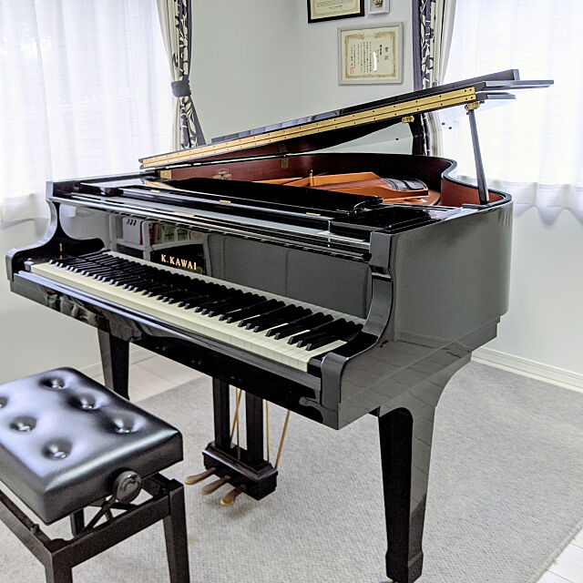 Overview,音楽のある暮らし,ピアノ,グランドピアノ gooskaの部屋