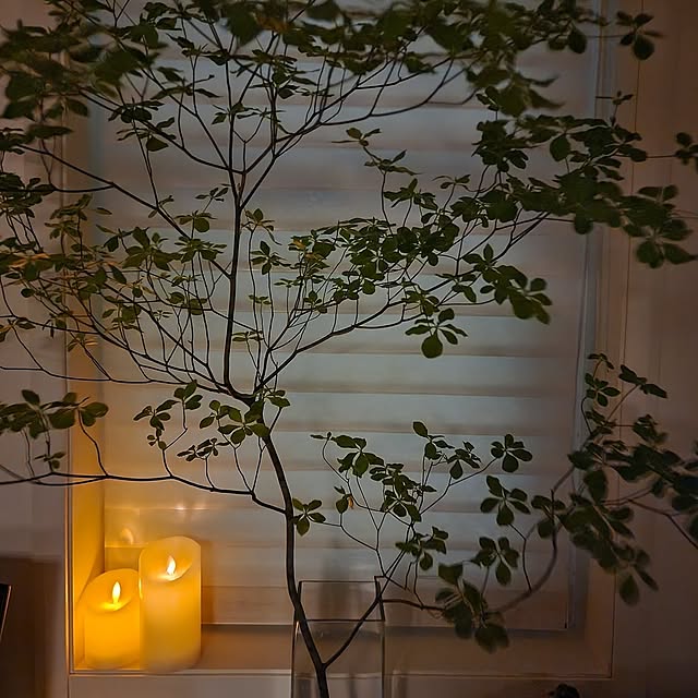 On Walls,間接照明,窓辺のインテリア,ドウダンツツジのある暮らし,LEDキャンドルライト,タイマー付きLEDキャンドル,在宅勤務を快適に,キャンドルライト,ニチベイ　調光ロールスクリーン,メカモノ,エネループ 75の部屋