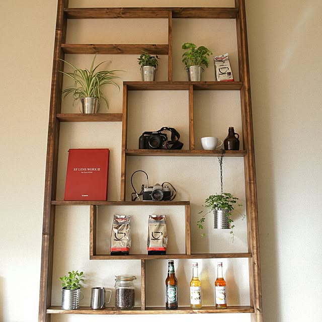 6畳ワンルーム,賃貸DIY,観葉植物,メンズ部屋,オイルステイン ウォルナット,ディアウォール,1×4材,2×4材,カフェ風インテリア,My Shelf hiroの部屋