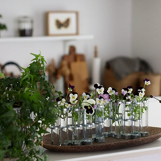 My Shelf,ツェツェ ４月の花器,ツェツェ アソシエ,ビオラ,花のある暮らし,グリーンのある暮らし,植物のある暮らし,季節を楽しむ暮らし,みどりのある暮らし hanatomidorinoheyaの部屋
