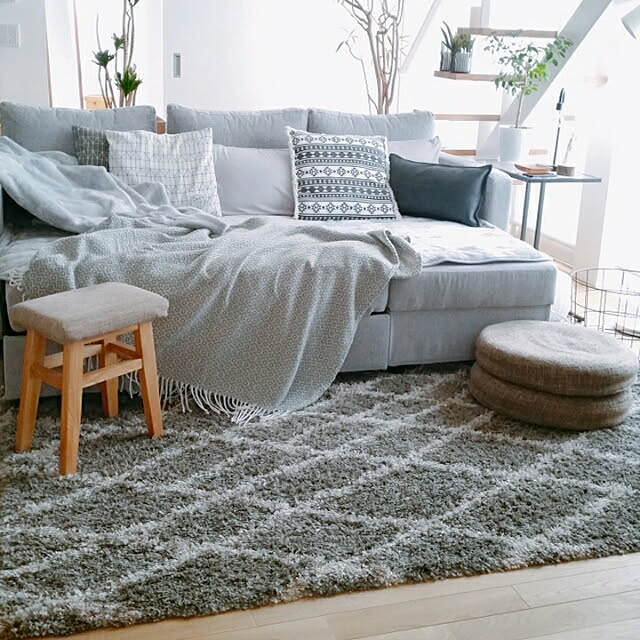 Overview,ラグ,グレー,ナチュラル,スタイリッシュ,モノトーン,ニトリのラグ,観葉植物,IKEA,ニトリ chieの部屋