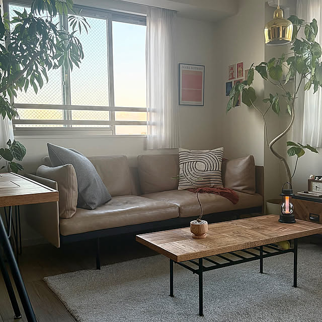 Lounge,すっきり暮らす,リビング,ミッドセンチュリー,インテリアグリーン,賃貸,狭小住宅,インテリアコーディネーター,賃貸インテリア,グリーンのある暮らし,暮らしを楽しむ,シンプルな暮らし,おうち時間,観葉植物のある暮らし,暮らしの一コマ,観葉植物,ティッシュケース,北欧インテリア,ミッドセンチュリーモダン,観葉植物のある部屋,1LDK2人暮らし,賃貸暮らし,心地よい暮らし,暮らしを整える,暮らしのひとコマ,ACTUS mumuの部屋