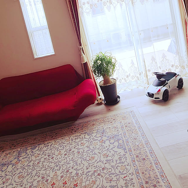 Lounge,いいね、本当にありがとうございます♡,Luv♡Rose,3兄弟ママ,見てくださる皆様に感謝♡,忙しくても楽しんで♡,薔薇がスキ♡,レースカーテンが主役,ポニーテール 植物,子供と暮らす,イケヒコラグ♡,赤いソファー r0siereの部屋