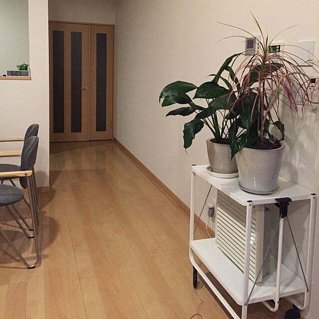 Lounge,空気清浄機,無印良品,白,ミニマリストになりたい,観葉植物 riiriiの部屋