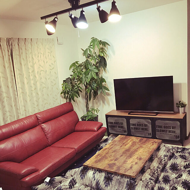 Lounge,ソフィットのソファ,IKEAカタログ2019,IKEA,観葉植物,ニトリ,セリア rinaの部屋