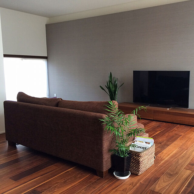 Lounge,ブラウン,ウォルナット,ホテルライク,積水ハウス,ボーコンセプト,観葉植物 kamiwakaの部屋