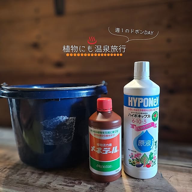 Lounge,夏の暮らし準備,観葉植物,DIY,インテリアグリーン,ナチュラルインテリア,賃貸,インダストリアル,観葉植物のある部屋,無骨,賃貸インテリア,賃貸DIY,RCの出会いに感謝,ボタニカル,ボタニカルライフ,暮らしを楽しむ,観葉植物のある暮らし,ボタニカルインテリア,観葉植物インテリア,グリーン CYNOSの部屋