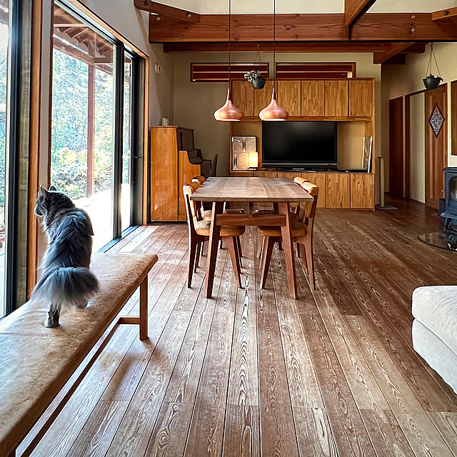リノベ中,メインクーン,猫と暮らす,Orient,Fritz Hansen,長椅子,大窓,造作TVボード,天然木,CHARDONNAY,無垢材の床,無垢材,お部屋を広く見せる工夫,Lounge,梁のあるリビング,吹き抜け,FIX大窓,LIXIL TW Kikko.の部屋