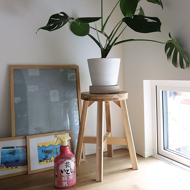 ガーデニング,花のある暮らし,害虫対策,アースガーデン,花いとし,暮らしのハンドブック2024,花が好き,みどりのある暮らし,グリーンのある暮らし,観葉植物のある暮らし mizuhoの部屋