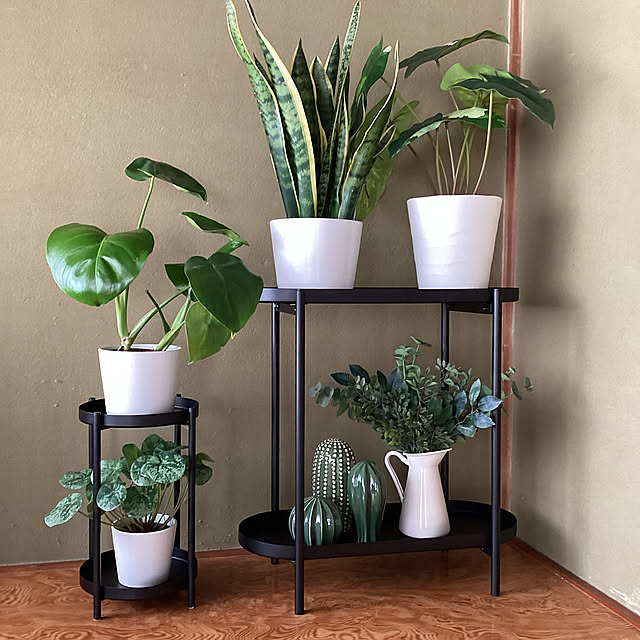 Lounge,観葉植物,IKEA,古民家,フェイクグリーン,賃貸 conatuの部屋