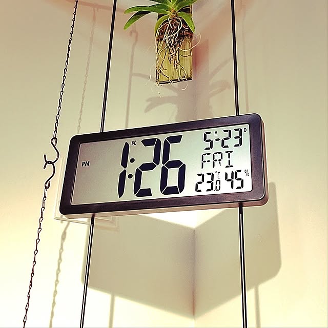 Lounge,買ってよかったもの,ニトリ,時計,温湿度計,植物のある暮らし,植物育成ライト,吹き抜けリビング,ダクトレール rimoleoの部屋