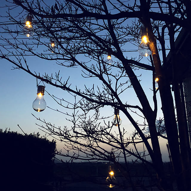 夕暮れの庭,青の時間,まとめて投稿,複数投稿,お庭パトロール,田舎暮らし,季節を楽しむ暮らし,庭,自然を感じる暮らし,ダイソー,100均アイテム,電球型ソーラーライト,On Walls Kaeru-Mamaの部屋