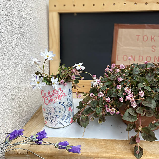10分でできる,ダイソーのちょこっと袋,団地,My Shelf,タイルテーブル,簡単リメ缶,ダイソー,ヒメツルソバ,ハナニラ,サインボート手作り,不思議な国のアリス,ベランダガーデン,ガーデン雑貨,紙袋 mamiの部屋