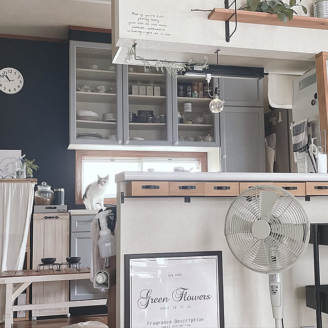 カウンター下収納,100均アイテム,フェイクグリーン,ねこと暮らす。,壁紙塗装DIY,My Shelf mahi1101の部屋
