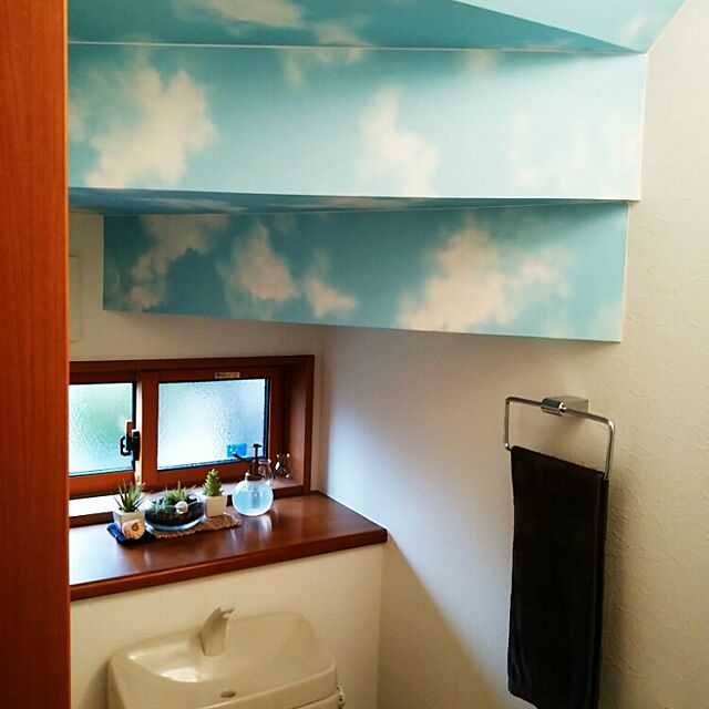 Bathroom,階段下のトイレ,青空天井,小窓,エアプランツ ryux3の部屋