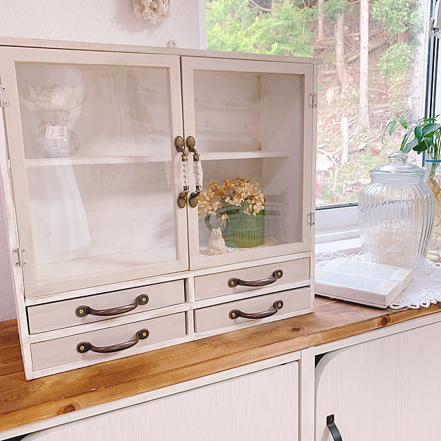 My Shelf,ショーケースDIY,ハンドメイド,いつもいいねやコメありがとうございます♡,DIY,100均DIY miemekkoの部屋