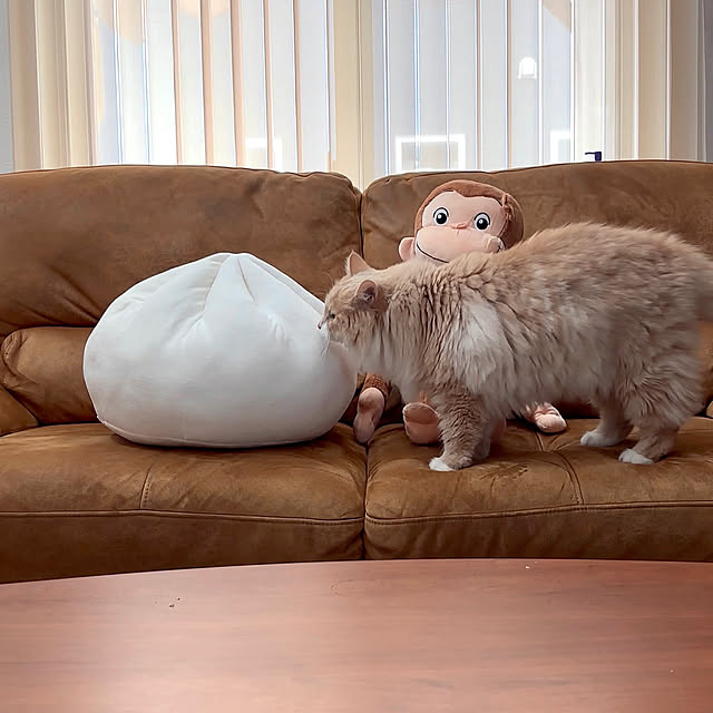 おさるのジョージ ぬいぐるみ,肉まんクッション,ときめきアイテム,カフェ風,カフェみたいな暮らし,カフェ風インテリア chibinoriの部屋