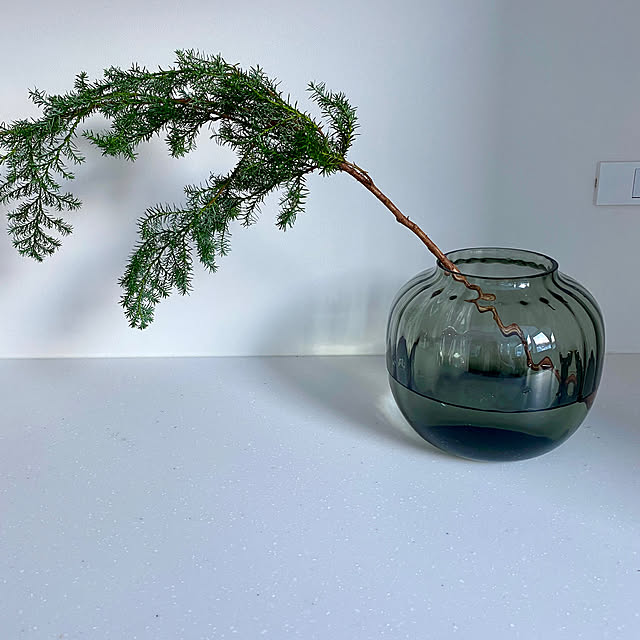 枝物,フラワーベース,花瓶,ホルムガード フラワーベース,ホルムガード,ウェルカムクーポン当選しました,RoomClipショッピング,My Shelf,ホルムガード　プリムラ,生花のある暮らし,枝物が好き,丸い花瓶,ウェルカムクーポン,ウェルカムクーポンキャンペーン naruminの部屋