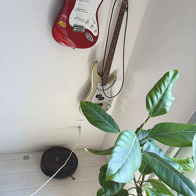 On Walls,お掃除ロボット,eufy,観葉植物,癒しの時間,癒しスペース,グリーンのある暮らし,ナチュラル素材,新築一戸建て,ていねいな暮らし,心地よい暮らし,ナチュラル mikeの部屋