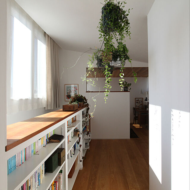 My Shelf,観葉植物,植物,こどもと暮らす,雑貨,チェリー材,造作棚,ナチュラル,漆喰壁 Ririの部屋