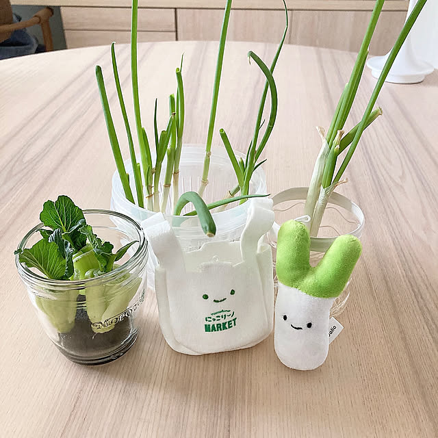 小松菜,ネギ,水耕栽培,家庭菜園,リボベジ,長ネギ,にっこりーノ suna_kitsuneの部屋