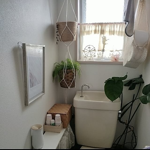 Bathroom,観葉植物,いいね！コメントありがとうございます☆,引っ越しました,いいね、お返しができなくてごめんなさい。,ダイソー,セリア,モンステラ,ツデー Tの部屋
