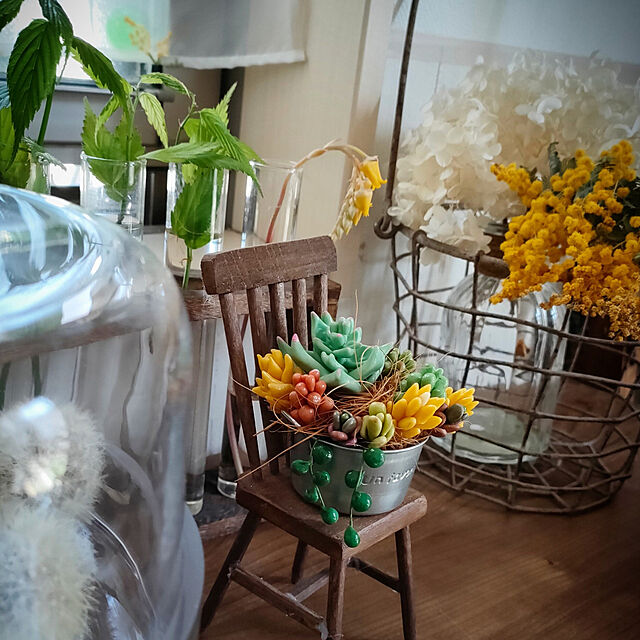 My Shelf,癒し,雑貨好き,世界平和,平凡な幸せ,試験管花瓶,ミモザ,多肉植物,樹脂粘土,たんぽぽの綿毛 teamoの部屋