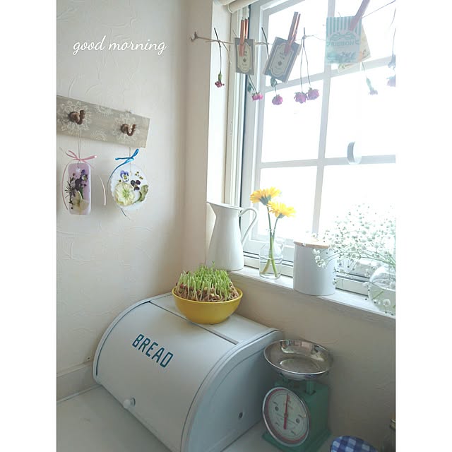 Kitchen,豆苗,IKEA,ガーランド,かすみ草,ブレッドケース,格子窓DIY,窓枠DIY,キッチン背面,ウォールフック,海外インテリアに憧れる,海外のカラーセンスに憧れる,カントリー,フレンチカントリー,ダルトンキッチンスケール,アロマワックスバー,momonaちゃん❤ erikamama.の部屋