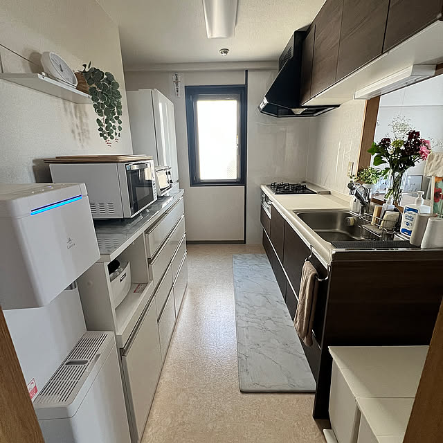 ニトリ,フェイクグリーン,賃貸マンション,床張り替えたい,ニトリ リガーレ,Locca,DeLonghi EOI407J-W,Kitchen pikakeの部屋