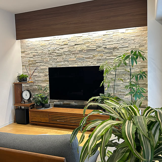 Lounge,観葉植物のある暮らし,シンプルモダン,リノベーション,心地よい暮らし,フルリノベ Mihiroの部屋