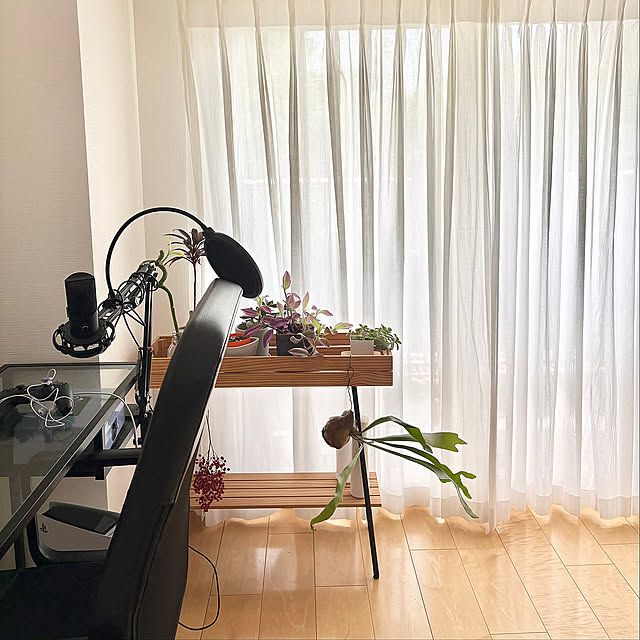 観葉植物のある暮らし,観葉植物,癒しスペース eepの部屋