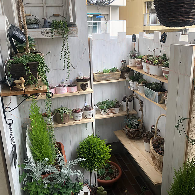 お気に入り,DIY,ベランダDIY,多肉植物,ガーデニング,たなDIY,団地,ベランダガーデン,寄せ植え,グリーンネックレス,コニファー,棚受け,ベランダ,韓国苗,エケベリア,ガーデニング初心者,多肉中毒,多肉,On Walls miiの部屋