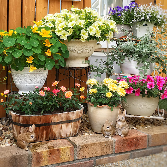 Entrance,植木鉢,自然を感じる,ナチュラル,ナチュラルカントリー,フレンチカントリー,フレンチナチュラル,花のある暮らし,レンガ,フレンチシャビー,ガーデニング,玄関前アプローチ,カインズホーム,ウサギ雑貨,ガーデニング DIY Michiの部屋