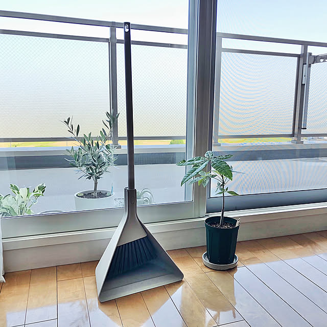 パキラミルキーウェイ,観葉植物のある暮らし,無印良品 GUMIMINの部屋