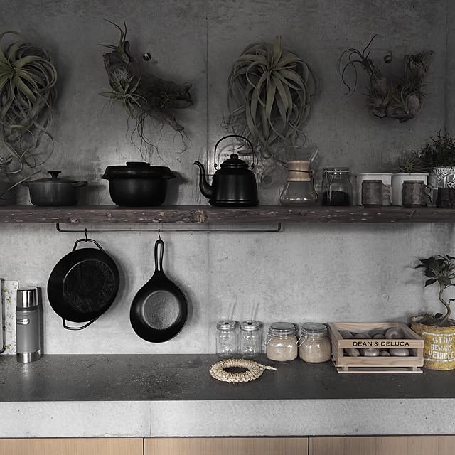 Kitchen,観葉植物,エアープランツ,いなざうるす屋,インスタ→neru0414,ジンカップ,キセログロフィカ,コンクリート打ちっぱなし,turkのフライパン,TRUCKケトル neru0414の部屋